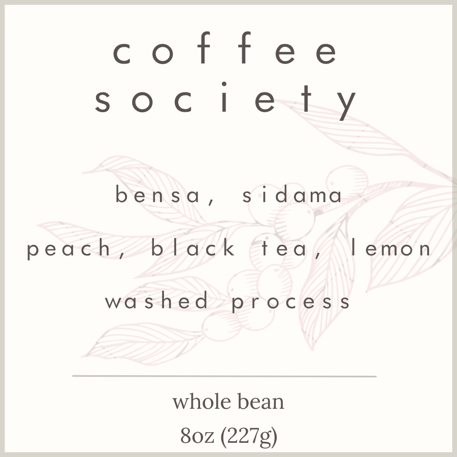 BENSA, SIDAMA REGION - WET PROCESS (WASHED)