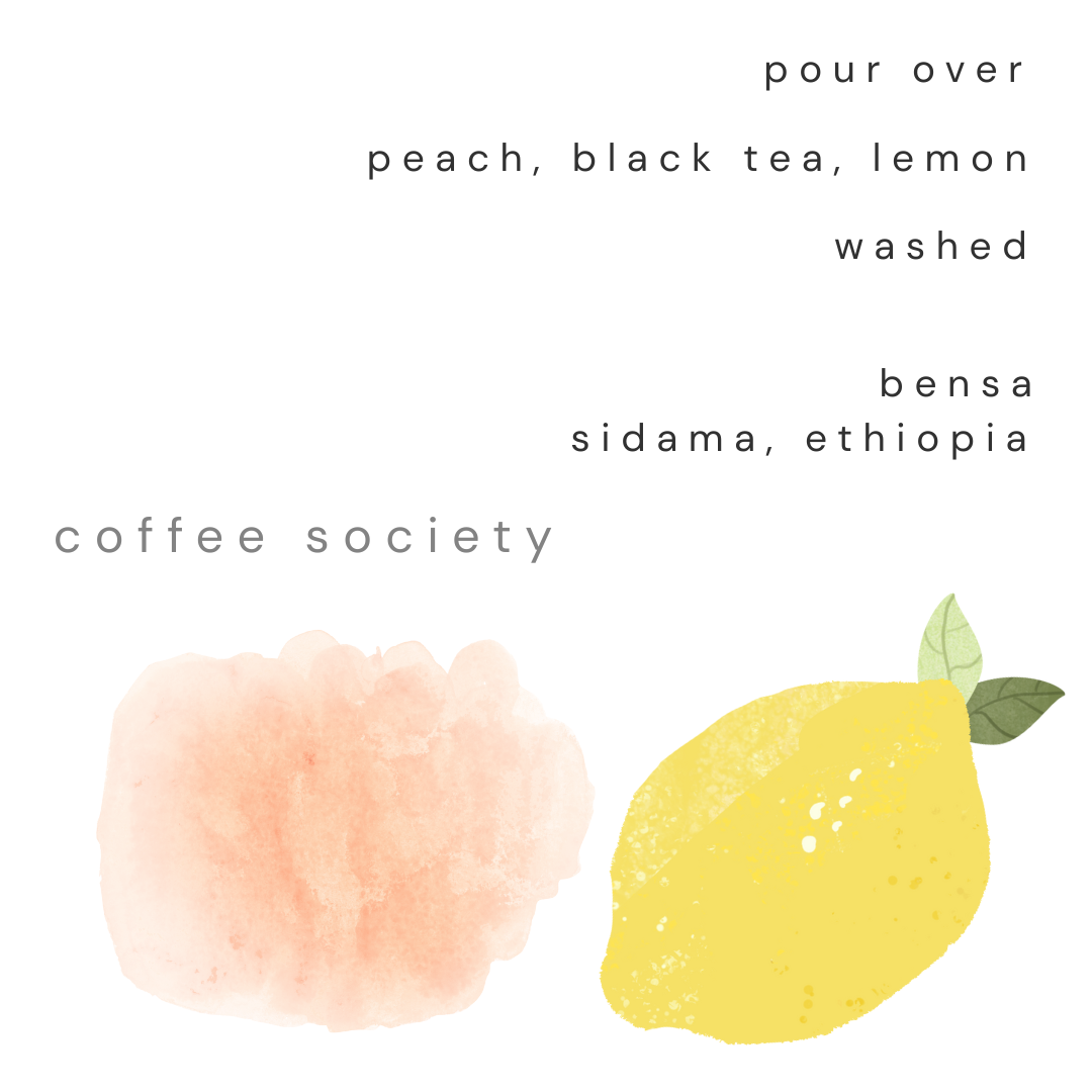 BENSA, SIDAMA REGION - WET PROCESS (WASHED)