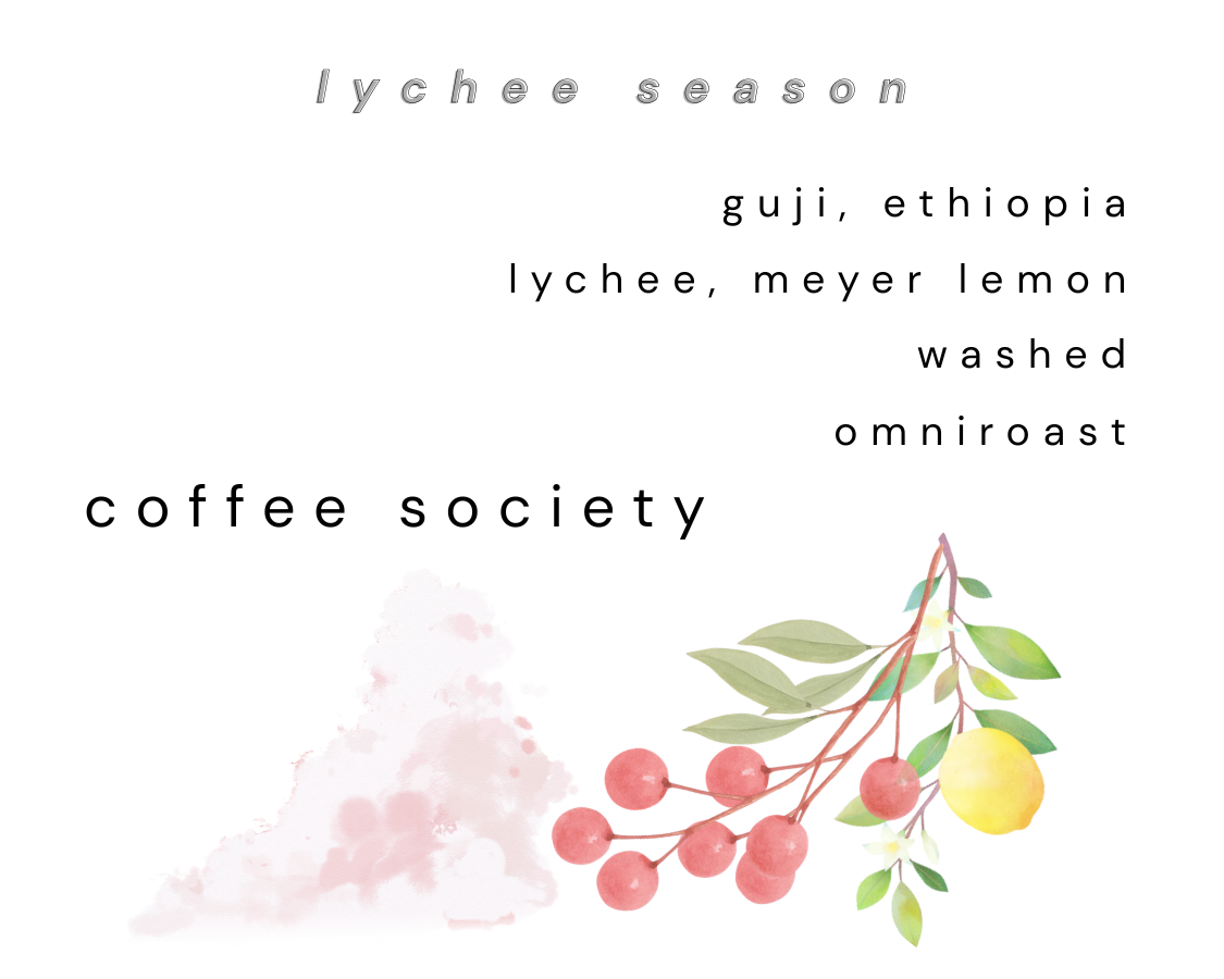 LYCHEE SEASON - GERBA, GUJI (WET PROCESS)