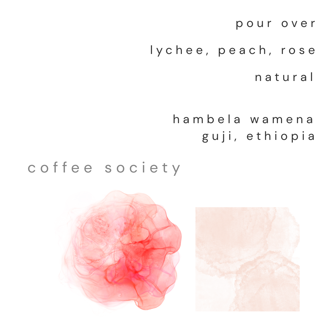 HAMBELA WAMENA, GUJI - DRY PROCESS (NATURAL)