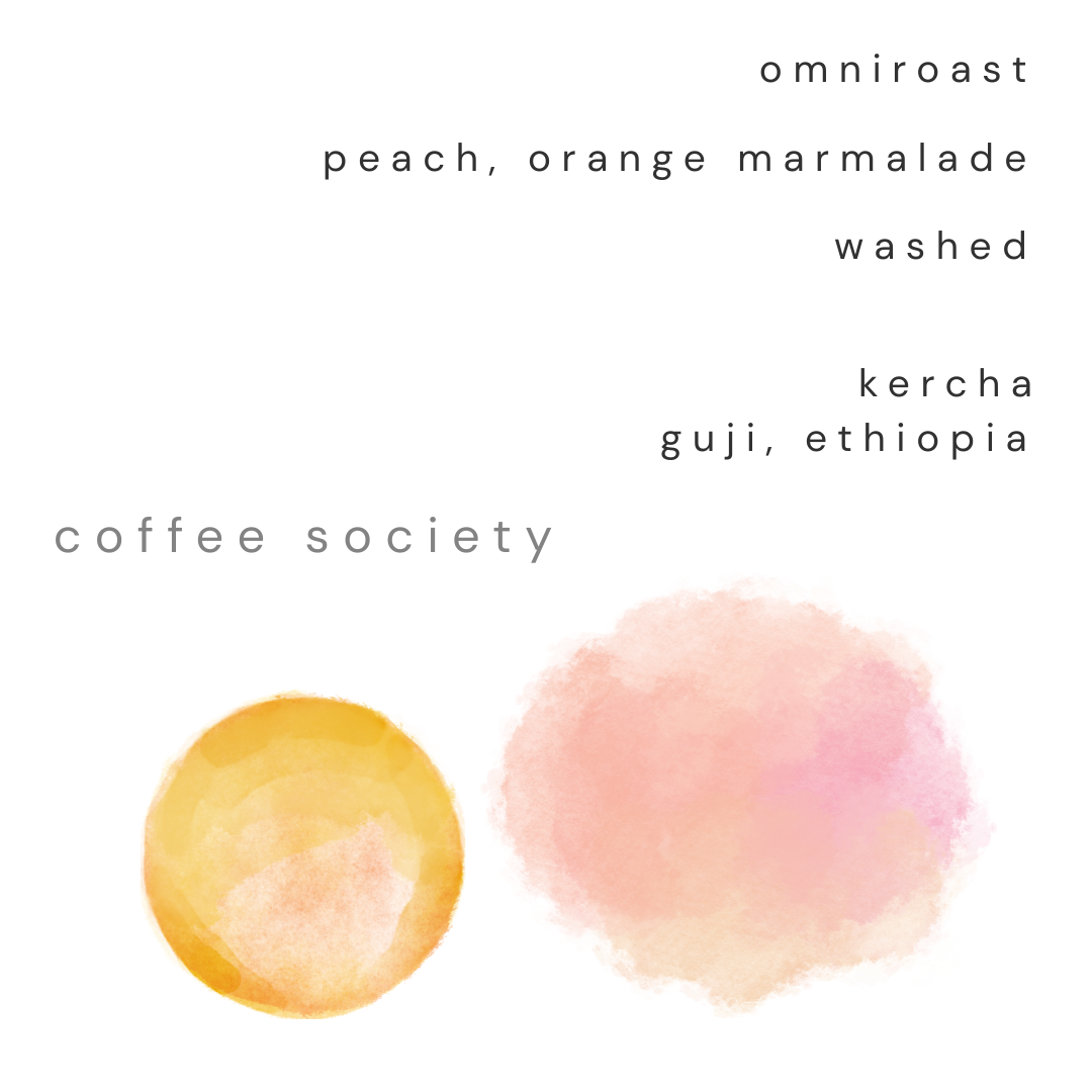 KERCHA, GUJI - WET PROCESS (WASHED)
