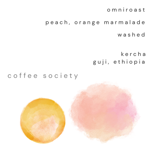 KERCHA, GUJI - WET PROCESS (WASHED)
