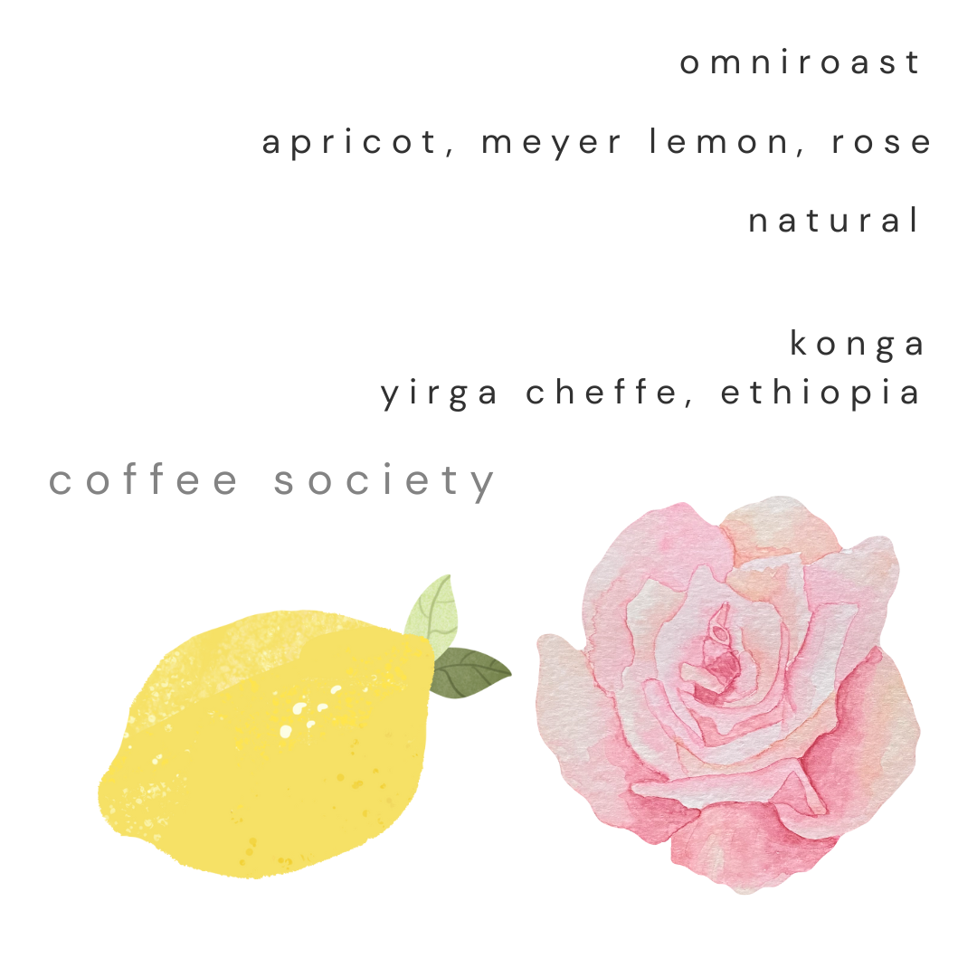 KONGA, YIRGA CHEFFE - DRY PROCESS (NATURAL)